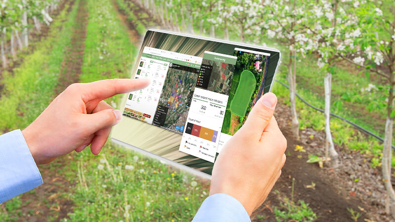 10 Consigli Per Un’Azienda Agricola a Prova d’Inverno
