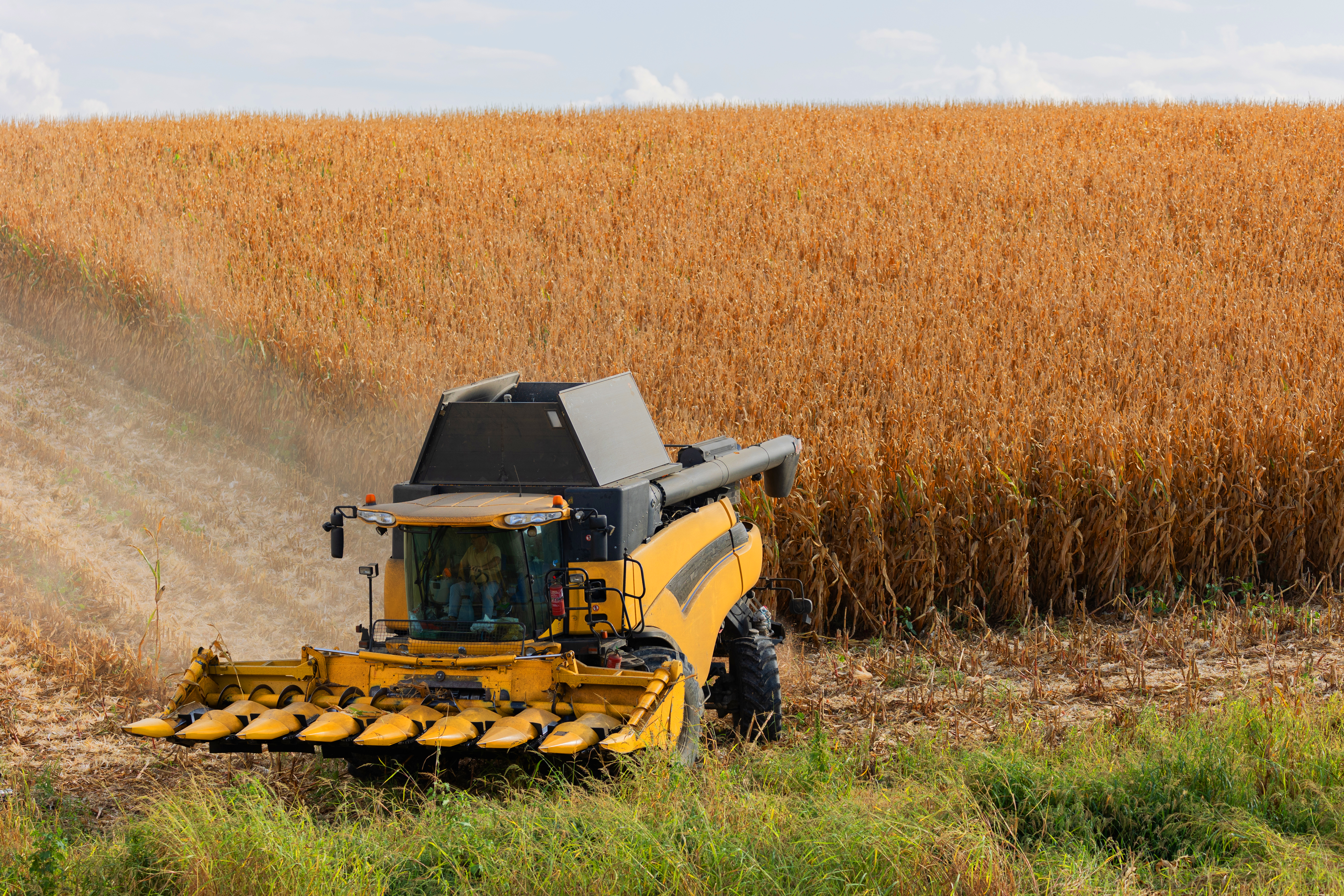 Compattazione del terreno in campo: una lotta continua 1