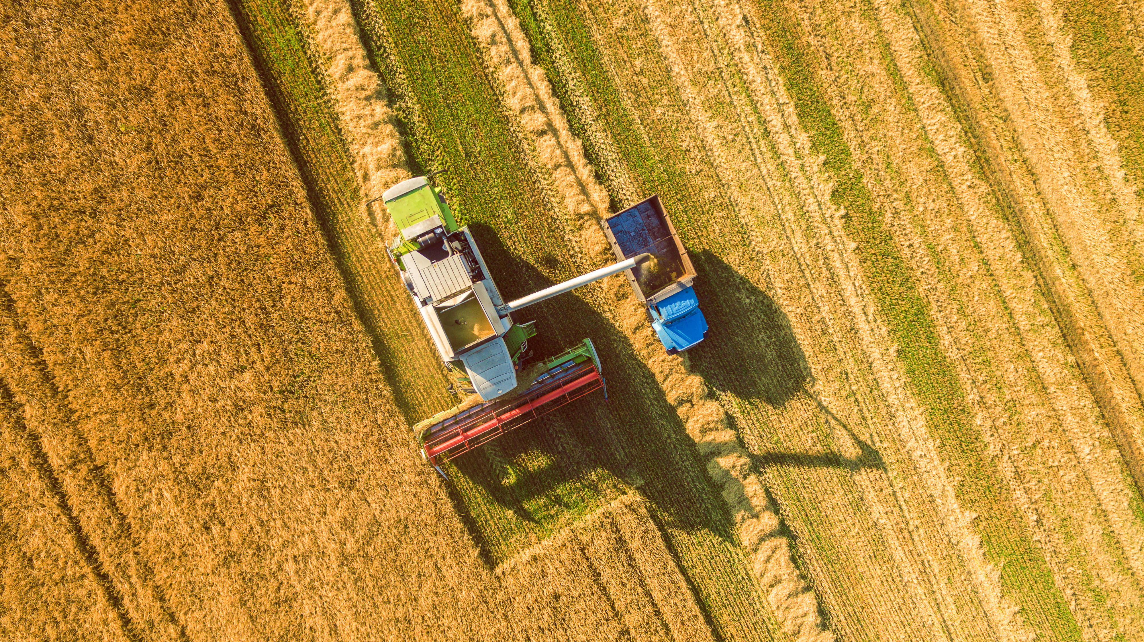 IA, satélites espaciales y agricultura: mirar desde arriba para crecer 1