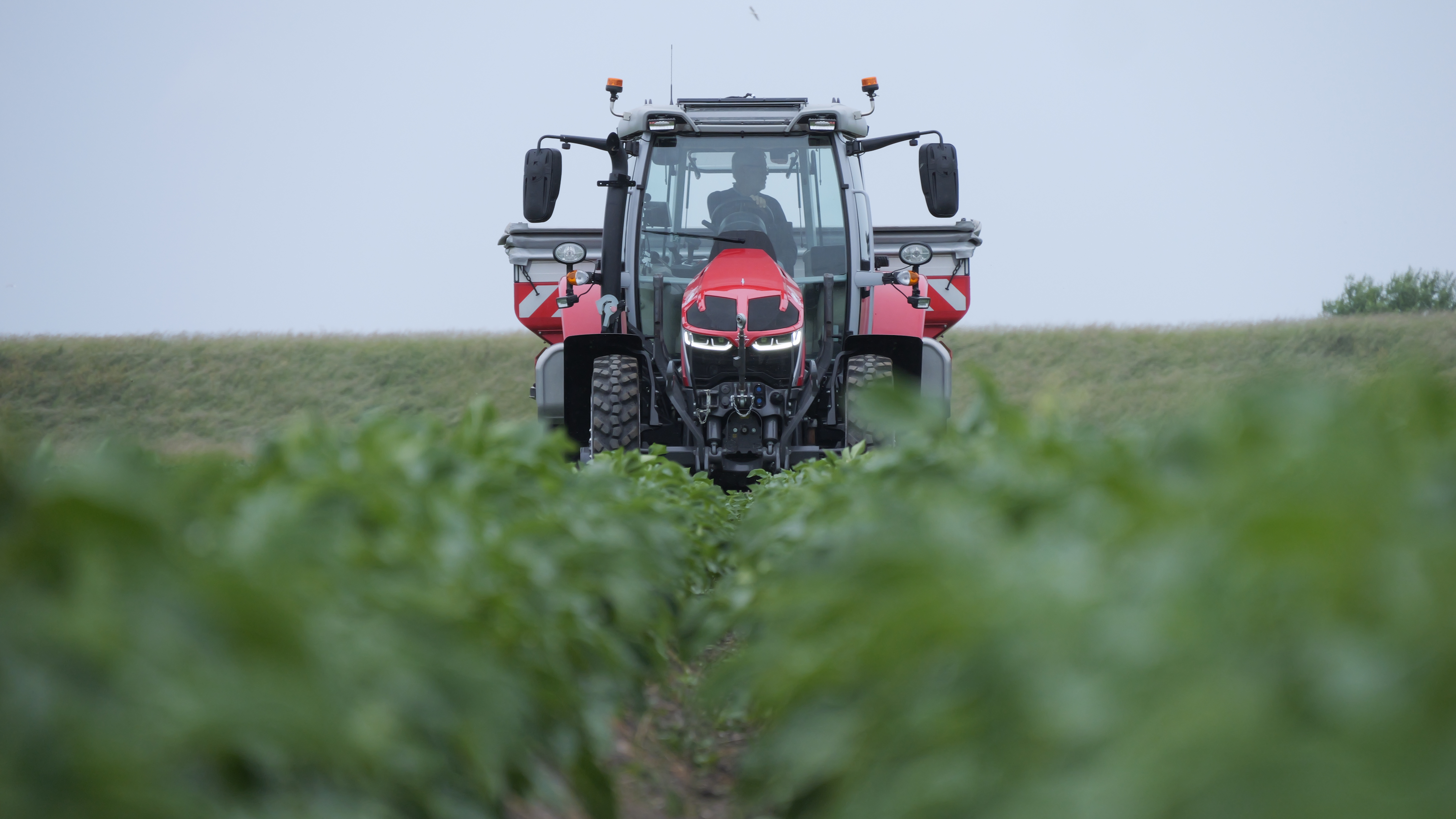 IA, satélites espaciales y agricultura: mirar desde arriba para crecer 3