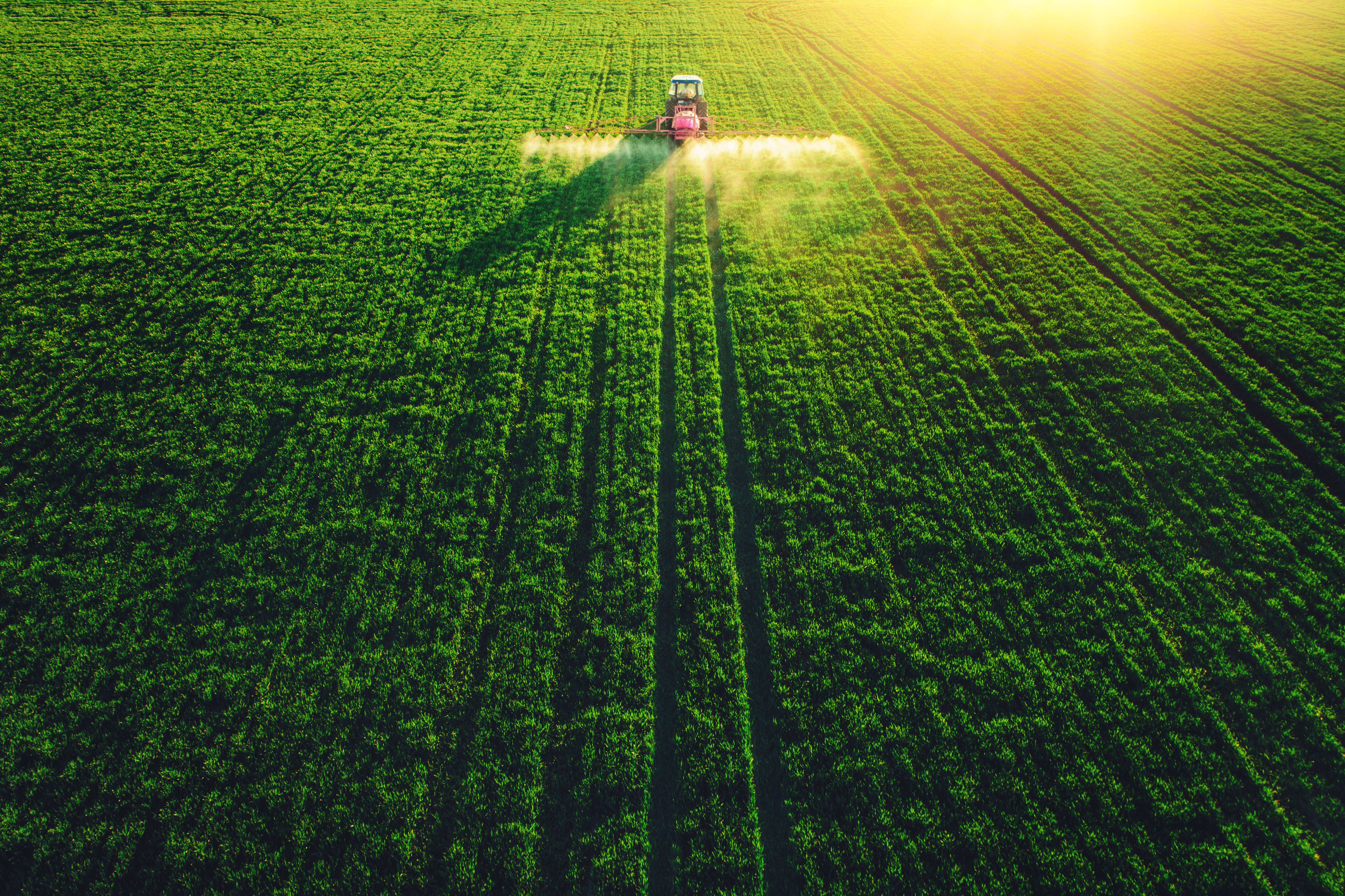 IA, satélites espaciales y agricultura: mirar desde arriba para crecer 1