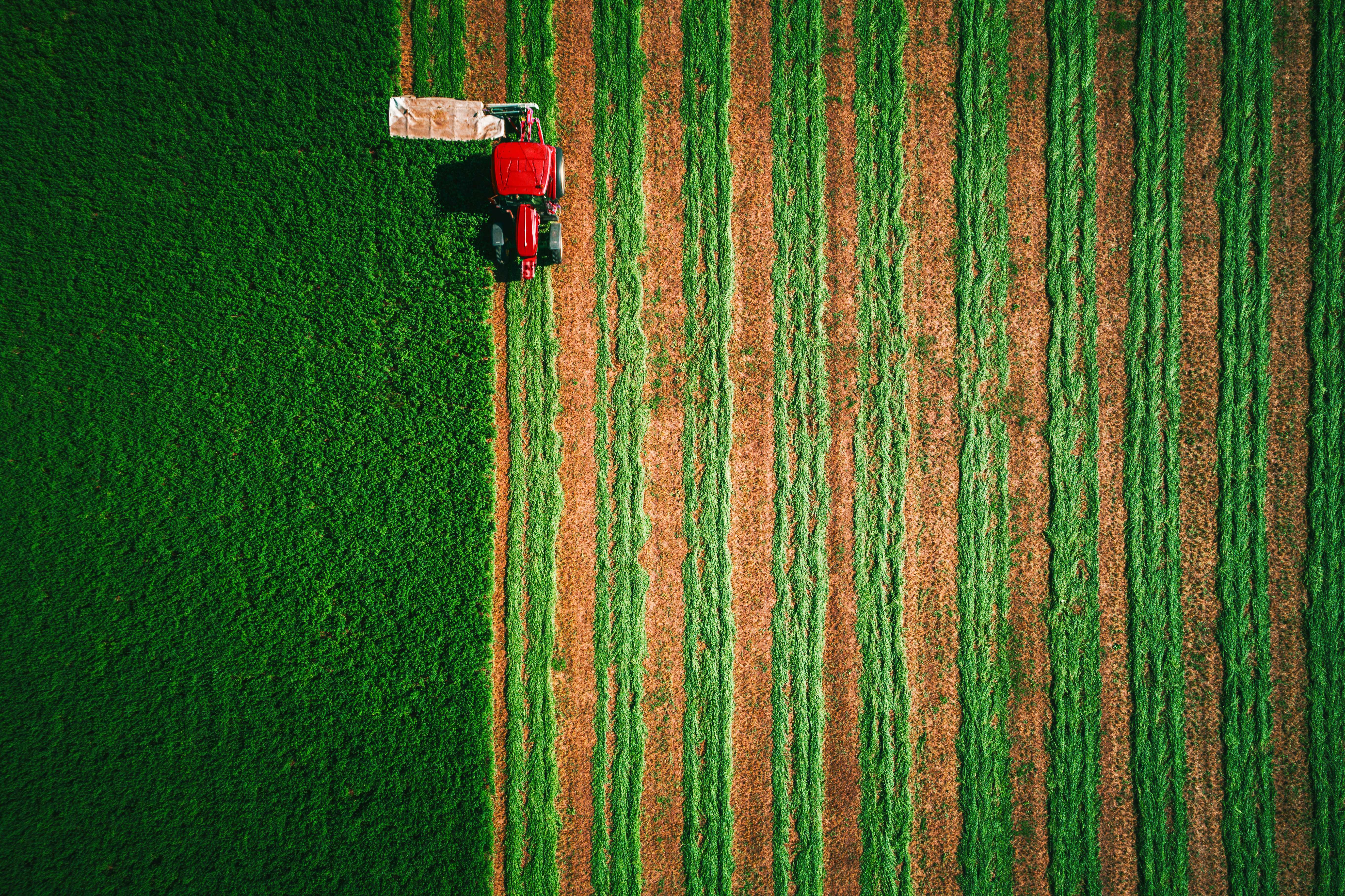 Le biogaz en Italie et en Europe 2025-2035 : comment il évolue 1
